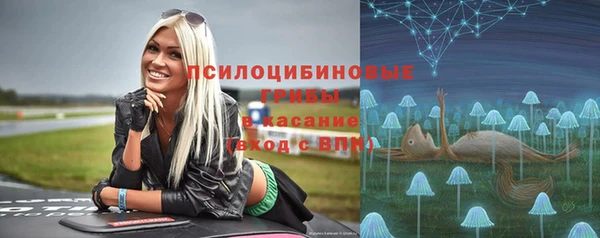 сатива Белоозёрский