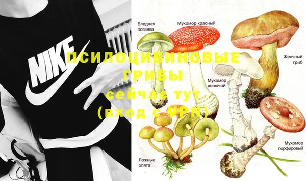Альфа ПВП Баксан