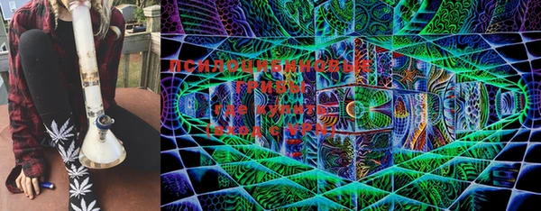 стафф Белокуриха